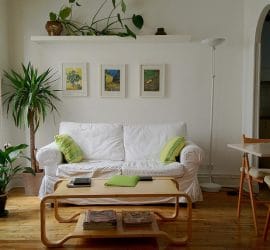 Feng Shui Paris