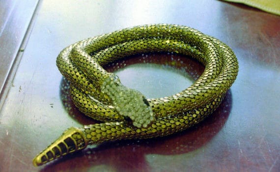 Serpent année du Chien