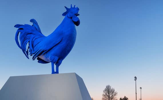 Ann2e du Chien, horoscope pour le signe du Coq