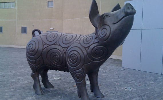 Année du Chien, horoscope pour le signe du Cochon