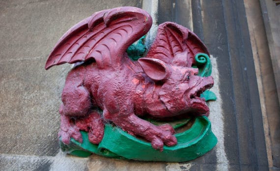 Année du Cochon horoscope Dragon