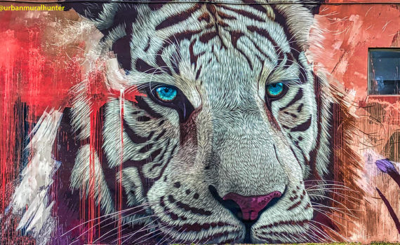 2022 year of the Tiger horoscope