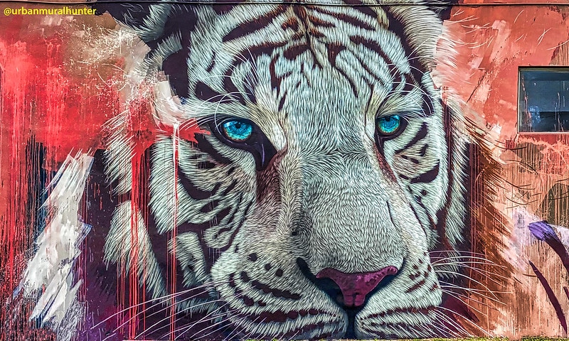 2022 year of the Tiger horoscope