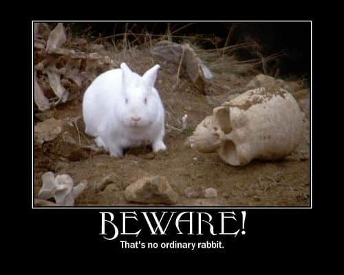 Lapin de Caerbannog